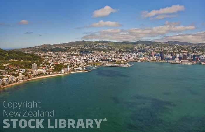 Aerial-Wellington-Oriental Bay-marina
