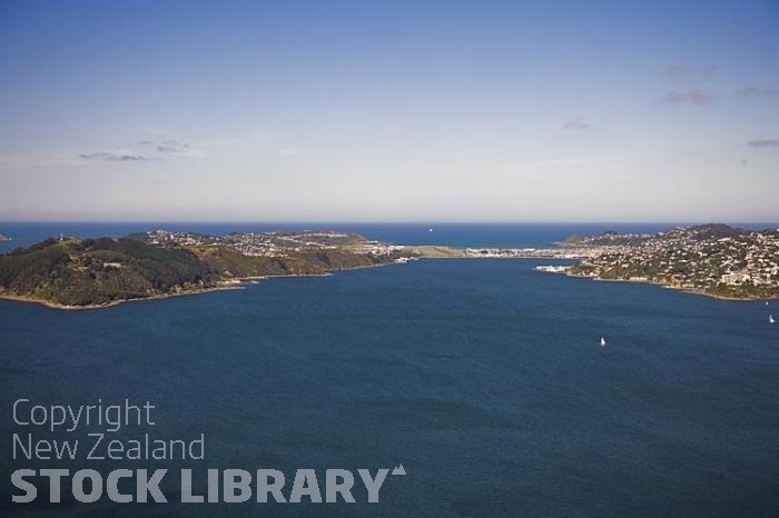 Aerial-Wellington-Airport-Evans Bay