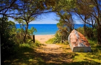 Totaranui;Able_Tasman_National_Park;Tasman_Bay;sand_dunes;sandy_beaches;rocky_sh