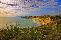 Cape_Foulwind;West_Coast;Lighthouse;cliffs;bluffs;flaxes;flax;toitoi