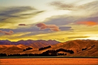 Blenheim;Marleborough;wine;vineyards;regional_town;Wither_Hills;Omaka