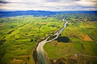The_Catlins;Southland;hills;rivers;Road;bush;native_forrest;green_fields;green_p