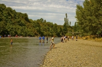 Ashley_Gorge;Canterbury;Canterbury_Plain;Green_Paddocks;green_fields;Ashley_rive