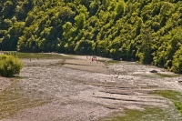 Ashley_Gorge;Canterbury;Canterbury_Plain;Green_Paddocks;green_fields;Ashley_rive