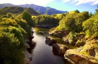 Collingwood;Golden_Bay;Aorere_River;Salisbury_Bridge;bush;native_forrest;rocky_r