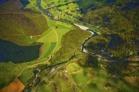 Aerial;Rai_Valley;Pelorus_River;Marlborough;Rai_Valley_Township;bush;native_forr