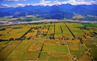 Aerial;Wairau_Valley;Marlborough;bush;native_forrest;irrigation_canal;irrigation