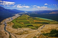 Aerial;Wairau_Valley;Marleborough;bush;native_forrest;irrigation_canal;irrigatio