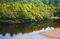 Cape_Foulwind;West_Coast;cliffs;bluffs;White_Baiter;Nile_River;Charleston