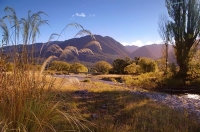 Marui_River_Valley_Buller_Region_Station_Creek;hills;rivers;line;Road;bush;nativ