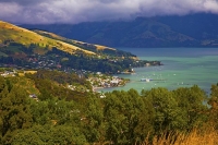 Banks_Peninsula;Canterbury;Green_Paddocks;green_fields;bush;native;forrest;frenc