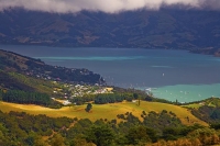 Banks_Peninsula;Canterbury;Green_Paddocks;green_fields;bush;native;forrest;frenc