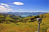 Banks_Peninsula;Canterbury;Green_Paddocks;green_fields;bush;native;forrest;frenc