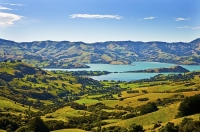 Banks_Peninsula;Canterbury;Green_Paddocks;green_fields;bush;native;forrest;frenc