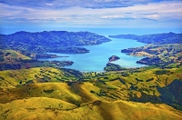 Aerial;Banks_Peninsula;Canterbury;Green_Paddocks;green_fields;bush;native;forres