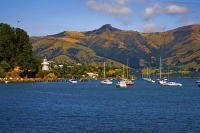 Banks_Peninsula;Canterbury;Green_Paddocks;green_fields;bush;native;forrest;frenc