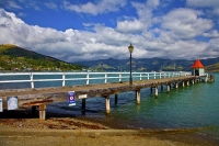 Banks_Peninsula;Canterbury;Green_Paddocks;green_fields;bush;native;forrest;frenc