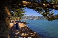 Banks_Peninsula;Canterbury;Green_Paddocks;green_fields;bush;native;forrest;frenc