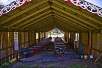 Banks_Peninsula;Canterbury;Green_Paddocks;green_fields;bush;native;forrest;frenc