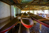 Banks_Peninsula;Canterbury;Green_Paddocks;green_fields;bush;native;forrest;frenc