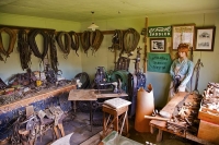 Banks_Peninsula;Canterbury;Green_Paddocks;green_fields;bush;native;forrest;frenc