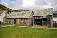 Banks_Peninsula;Canterbury;Green_Paddocks;green_fields;bush;native;forrest;frenc