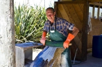 Collingwood;Golden_Bay;The_Naked_Possum;The_Naked_Possum_Cafe;Open_Fire;pies;pos