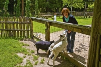 Takaka;Golden_Bay;Bencarri_Nature_Park;hills;rivers;Road;bush;native_forrest;gre