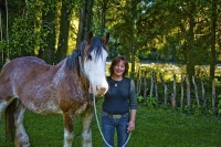 Takaka;Golden_Bay;Bencarri_Nature_Park;hills;rivers;Road;bush;native_forrest;gre