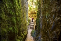 Takaka;Golden_Bay;Clifton_Grove_Reserve;bluffs;cliffs;Palns;limestone;limestone_