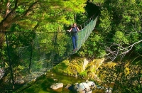 Takaka;Golden_Bay;Wainui_Bay;bluffs;cliffs;swing_bridge;hills;rivers;Road;bush;n