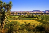 Awatere_Valley;Marlborough;bush;native_forrest;irrigation;green_fields;green_pad