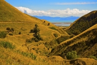 Awatere_Valley;Marlborough;bush;native_forrest;irrigation;green_fields;green_pad