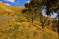 Awatere_Valley;Marlborough;bush;native_forrest;irrigation;green_fields;green_pad
