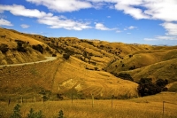 Awatere_Valley;Marlborough;bush;native_forrest;irrigation;green_fields;green_pad