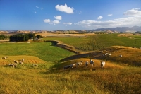 Awatere_Valley;Marlborough;bush;native_forrest;irrigation;green_fields;green_pad