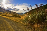 Awatere_Valley;Marlborough;bush;native_forrest;irrigation;green_fields;green_pad