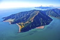 Shell_fish_farm;Aerial;Marlborough_Sounds;Marlborough;bush;native_forrest;hills;