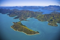 Aerial;Marlborough_Sounds;Marlborough;bush;native_forrest;hills;mountains;Kenepu