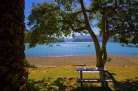 Marlborough_Sounds;Marlborough;bush;native_forrest;hills;mountains;Kenupuru_Soun