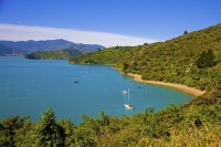 Aerial;Marlborough_Sounds;Marlborough;bush;native_forrest;hills;mountains;Kenupu