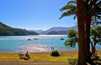 Aerial;Marlborough_Sounds;Marlborough;bush;native_forrest;hills;mountains;Kenepu