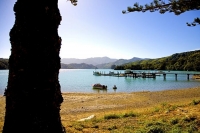 Aerial;Marlborough_Sounds;Marlborough;bush;native_forrest;hills;mountains;Kenepu