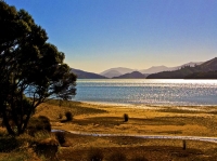 Aerial;Marlborough_Sounds;Marlborough;bush;native_forrest;hills;mountains;Kenupu