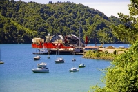 Marlborough_Sounds;Marlborough;bush;native_forrest;hills;mountains;Waimahara_Wha