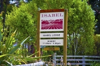 Vineyards;Marleborough;Wairau_Plains;vines;vintners;grapes;Isabel_Winery