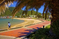 Picton;Marlborough_Sounds;Marlborough;bush;native_forrest;hills;Boy;Picton_beach