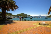 Picton;Marlborough_Sounds;Marlborough;bush;native_forrest;hills;Interislander;do