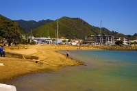 Picton;Marlborough_Sounds;Marlborough;bush;native_forrest;hills;mountains;Shelle