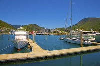 Picton;Marlborough_Sounds;Marlborough;bush;native_forrest;hills;mountains;Picton